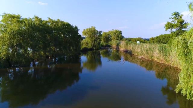 Озеро Головище на полях ОПХ "Шпаковское" смотреть онлайн