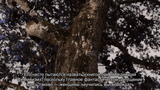 Свежие антиутопии, которые стоит прочесть смотреть онлайн