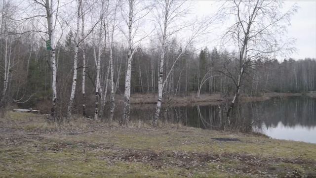 Кучинский лес и тайная лаборатория в нем смотреть онлайн