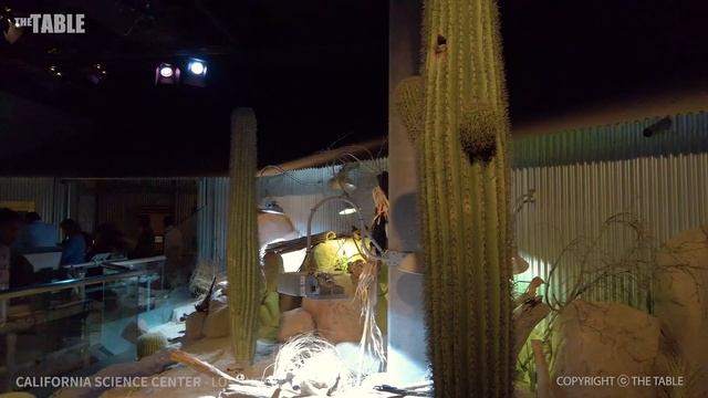 LOS ANGELES - California Science Center, Los Angeles, California, USA, Travel, 4K UHD смотреть онлайн