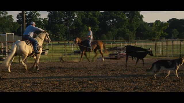 Canon 1DC 4k cLOG Film Grade смотреть онлайн