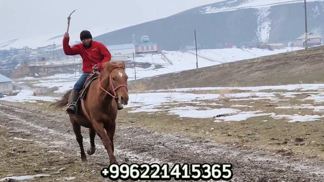 арзан ат Кызыл-Ордодо смотреть онлайн