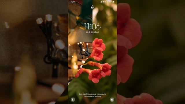 НОВОГОДНИЕ ФОТОГРАФИИ К 2023-2024 ГОДУ смотреть онлайн