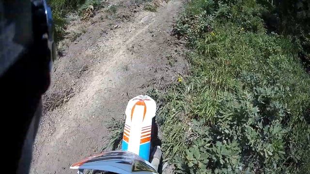 Кушинка. Пелепень. Август 2019