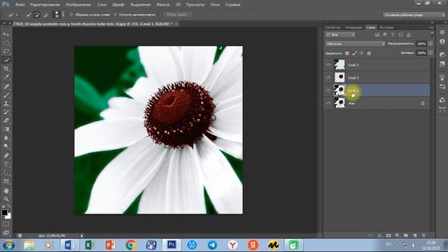 PHOTOSHOPDA OQ VA QORA SURATNI QANDAY RANGLI QILISH MUMKIN? смотреть онлайн