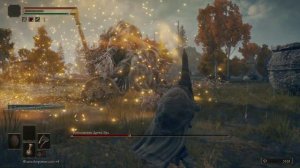 Elden Ring 🔹 "Воплощение Древа Эрд" - Опаловая слеза в пузыре - Разорвавшаяся багровая слеза