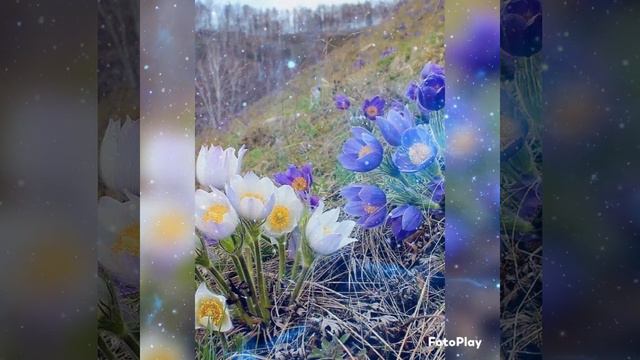 Глубокое целение...Поток души... смотреть онлайн