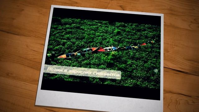 ТОП 20 ФОТО БЕЗ ФОТОШОПА.Clashers.Tv смотреть онлайн