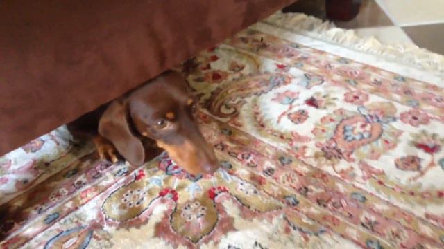 Вы спросите " зачем ?" Ну потому что мило😊 смотреть онлайн