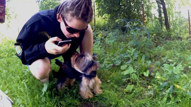 Охота на крокодила / Готовим шашлык смотреть онлайн