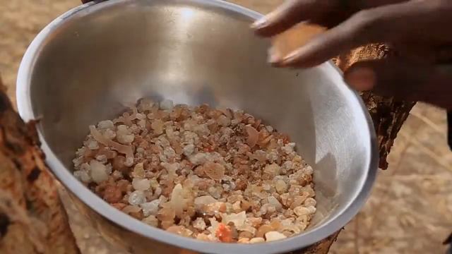 Les Arbres d'Or du Sahel l'acacia смотреть онлайн