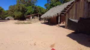 Как живут коренные американцы? Путешествие по Бразилии #56