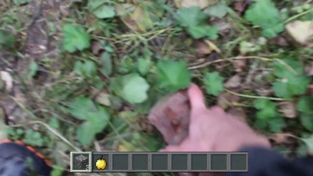 Майнкрафт в Реальном Мире - Minecraft in Real Life смотреть онлайн