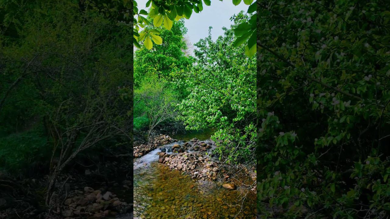 Горный источник #музыка #природа смотреть онлайн