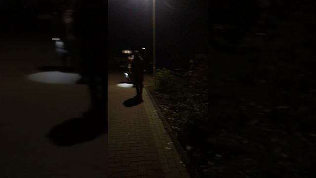 Halloween ? in Deutschland смотреть онлайн