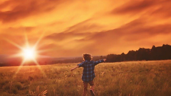 Красивая Славянская Музыка для души на гуслях - Кирилл Богомилов смотреть онлайн