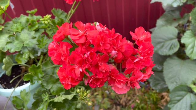 18 июля 2022 г. Обзор понедельника