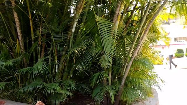 Школа Раджа Йоги. Гьян Саровар 19 смотреть онлайн