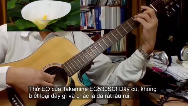 Takamine EG530SC with old strings - Vlog #259 смотреть онлайн