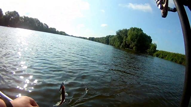 Рыбалка троллингом на Москва реке. Воскресенск июль 2023 смотреть онлайн