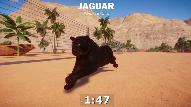 Big Cats Category Race in Planet Zoo including Cheetah, Snow Leopard, Siberian Tiger, Jaguar смотреть онлайн