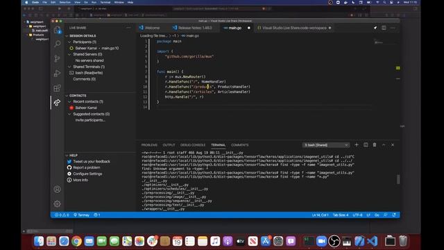 Live Coding: DeepDream in Go via Swift for TensorFlow Interoperation (feat. Omer Kamal) смотреть онлайн