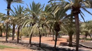 Fuerteventura 26.07.21.Гран Тарахал и Гора желаний !!!