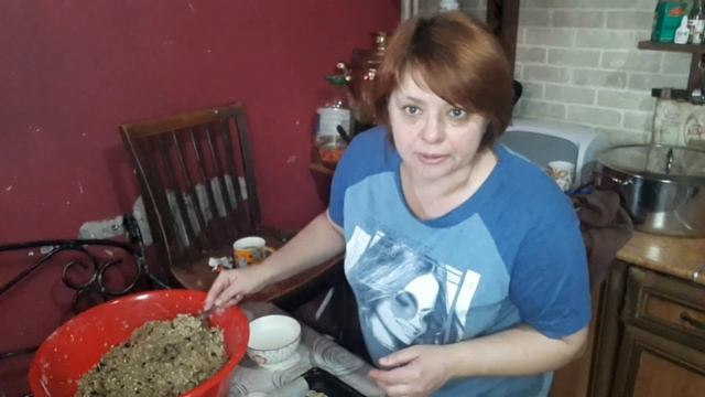 VLOG 321 Печенье из геркулеса , очень просто смотреть онлайн