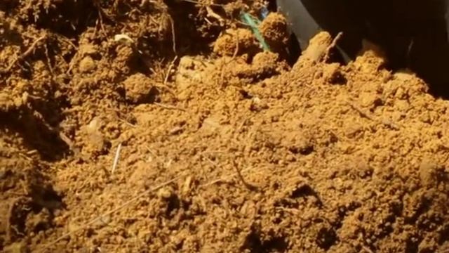 Тренинг "Перерождение Феникса" в Карпатах смотреть онлайн