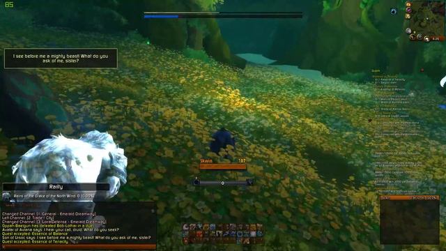 How-to-do The Protectors | Easy Completion Guide Walkthrough | WoW Legion Quest (Druid) смотреть онлайн