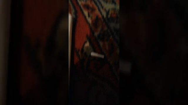 Идеально, как сделать из ватных палочек так чтобы проводилась по телефон смотреть онлайн