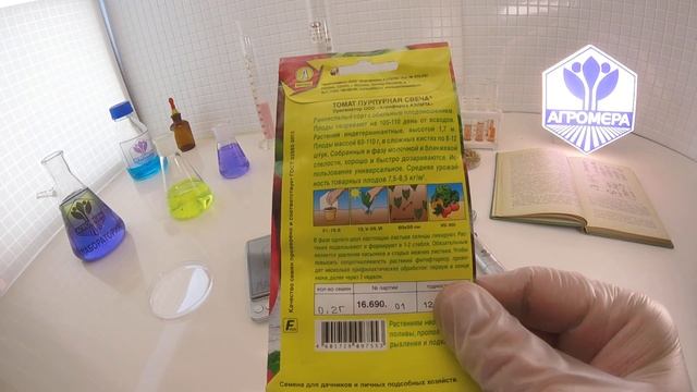 Томат Пурпурная свеча. Аэлита смотреть онлайн