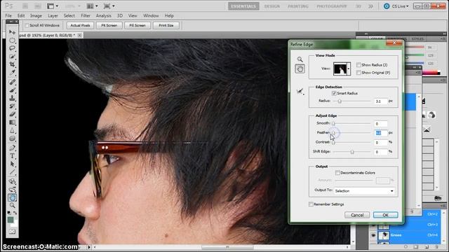 Photoshop Lesson 04B - Using Refine Edges to Make a Mask.mp4 смотреть онлайн