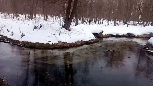 Поиск лосиных рогов в марте