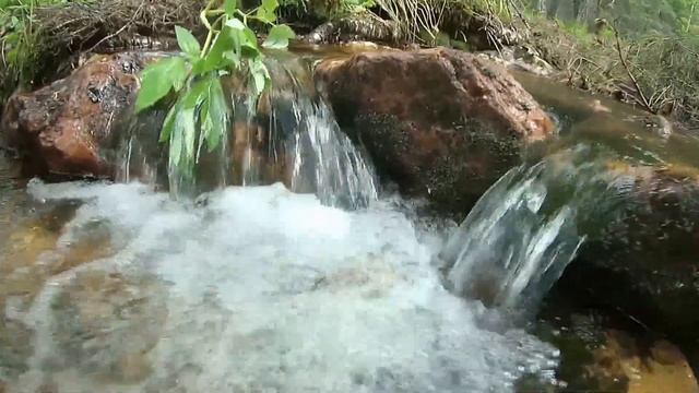 Прогулка на Иремель. смотреть онлайн