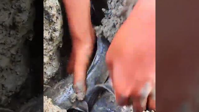 Amazing Hand Fishing Video - Village Boy Catching Big Monster Catfish By Hand смотреть онлайн