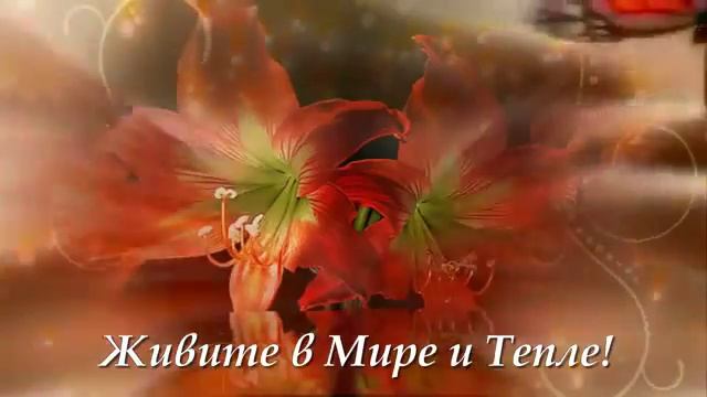 Красивая музыка и цветы для души И Двуреченский Вальс бабочек смотреть онлайн