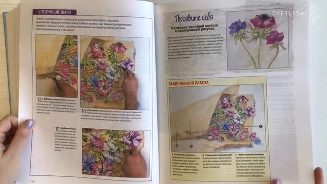 ☀️Обзор книги Мастер-класс Пастель Шаг за шагом? смотреть онлайн