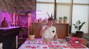 Сладкий перец длинный и крупный - сажаю и забываю! Сорт Иван-да-Марья