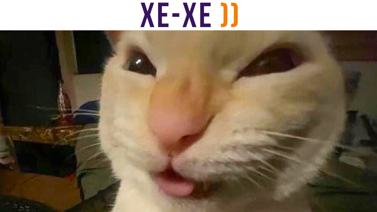 КАК ВЫГЛЯДИТ 