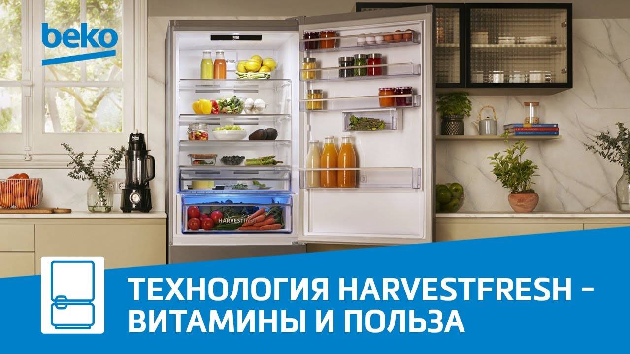 Холодильники Beko с технологией Harvest Fresh - всегда свежие фрукты и овощи смотреть онлайн