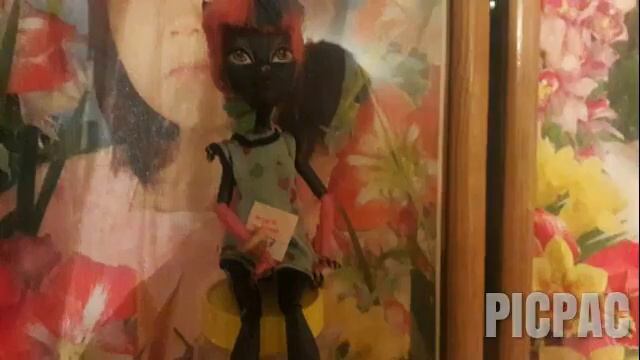 //Пародия на песню "Мега-звезда"// #picpac #monsterhigh смотреть онлайн