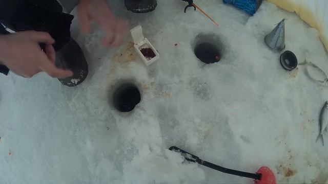 Зимняя рыбалка в палатке. Озернинское водохранилище 2017г. смотреть онлайн