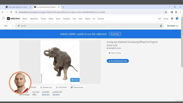 Udemy - Cinematic Photo Manipulation, Photoshop Advanced Course смотреть онлайн