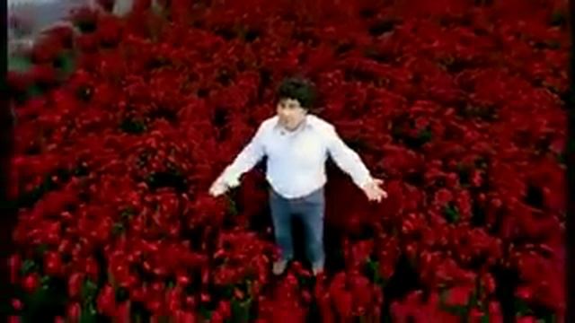 Подарок для любимой девушке смотреть онлайн