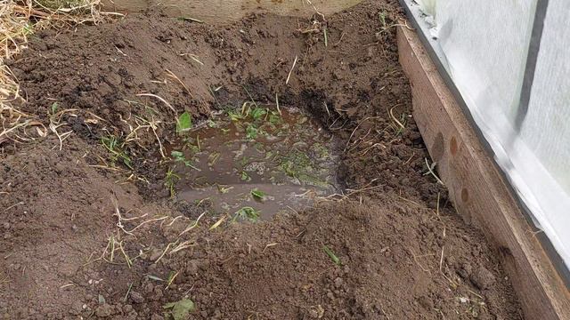 ПОСАДКА ДЫНИ В ТЕПЛИЦУ И ОТКРЫТЫЙ ГРУНТ..УХОД И ПОЛИВЫ..ЧТО ПОЛОЖИТЬ В ЛУНКУ.. смотреть онлайн