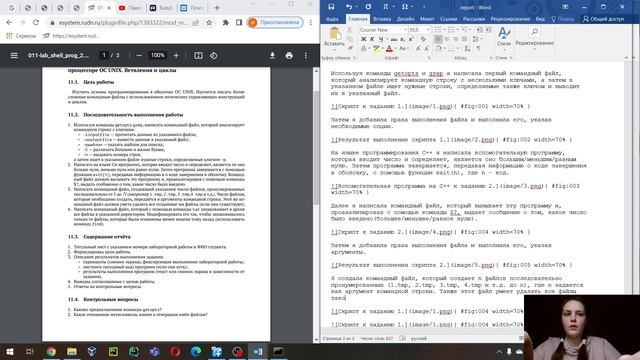 Операционные системы. Лабораторная работа 11. Отчет.