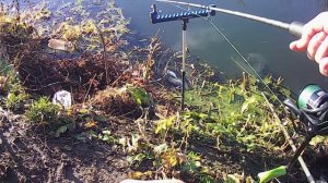 Рыбалка на УПЕ в Туле 7 ноября 2021г. Рыба все еще ловится!!!