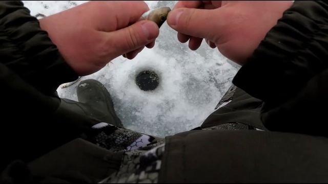 Проверили новое место, рыба есть всякая, сорога, окунь, щука, но мелкая. смотреть онлайн