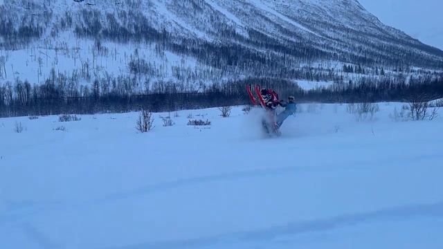 Testing Lynx Shredder for the first time смотреть онлайн